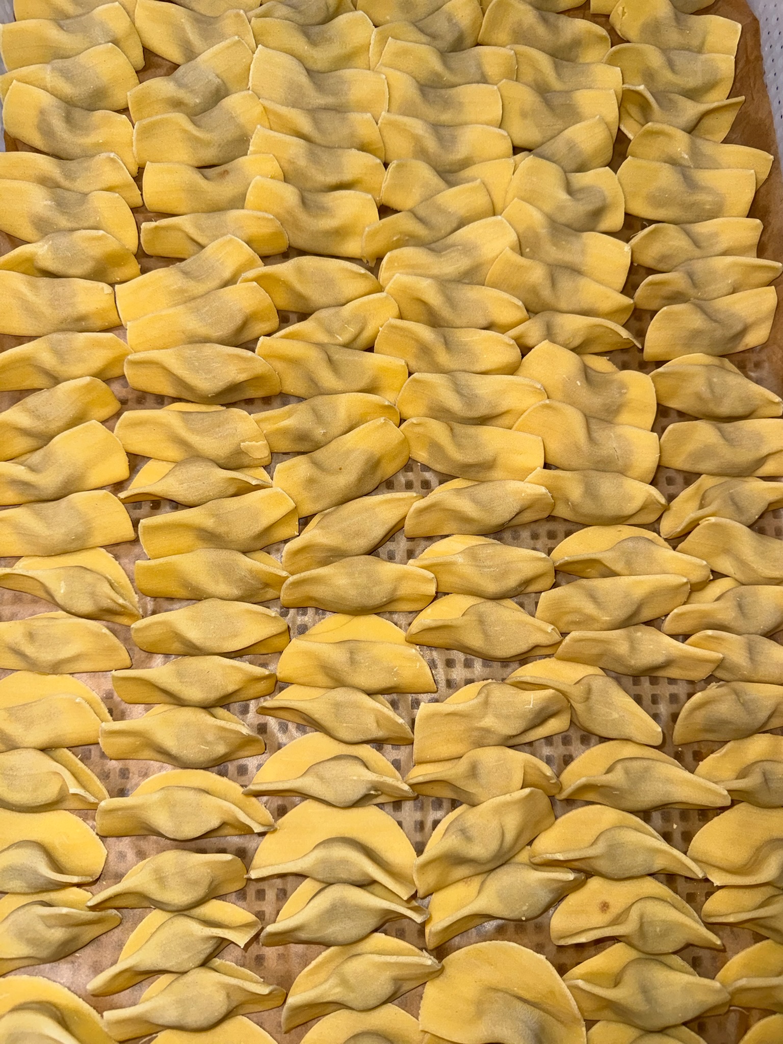 berghem love our productions (6)